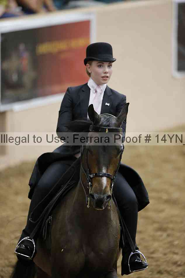 Proof Number 14yn_01188