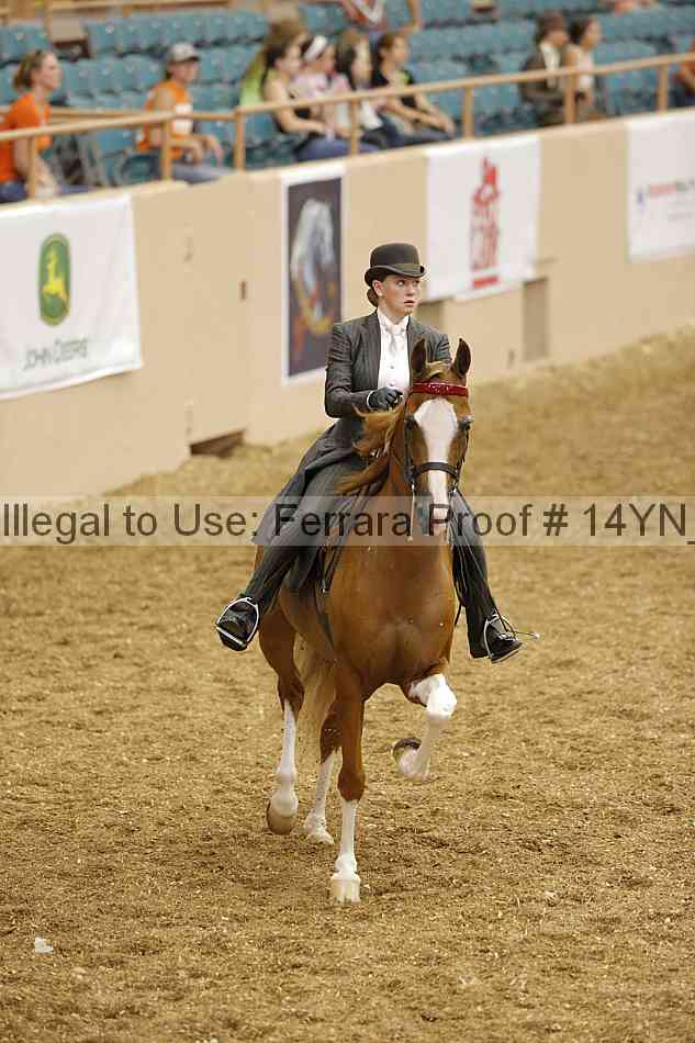 Proof Number 14yn_01193