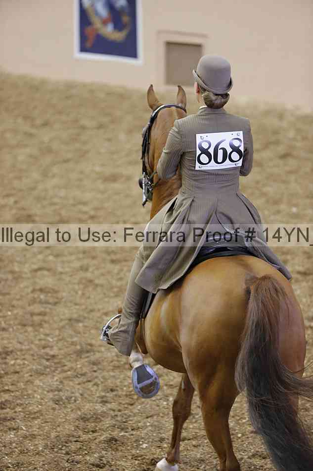 Proof Number 14yn_01206