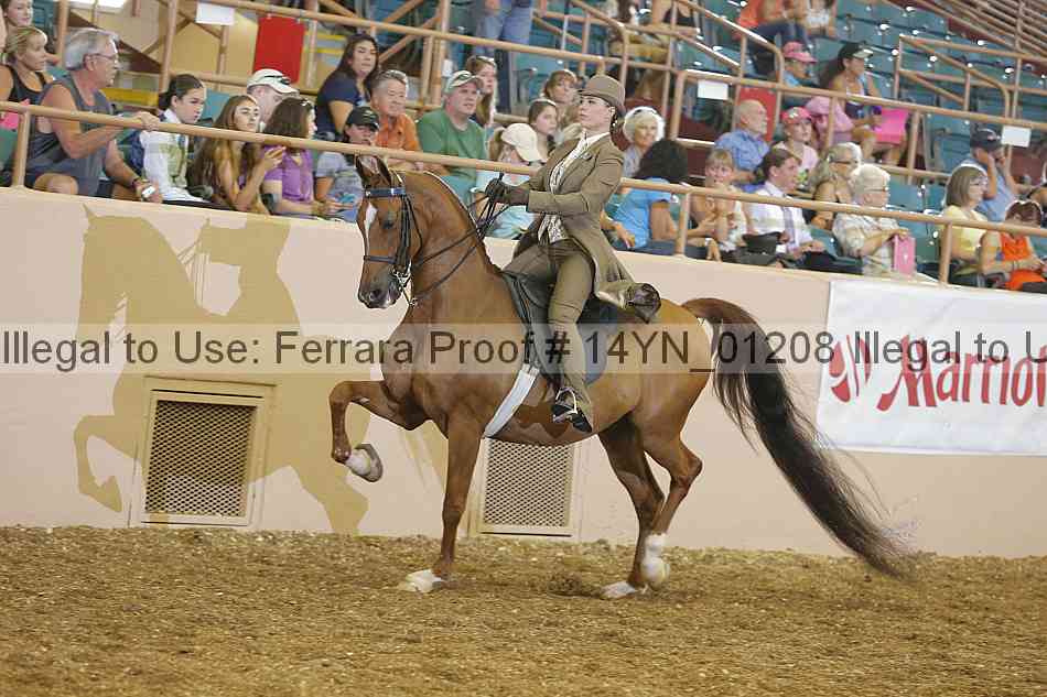 Proof Number 14yn_01208