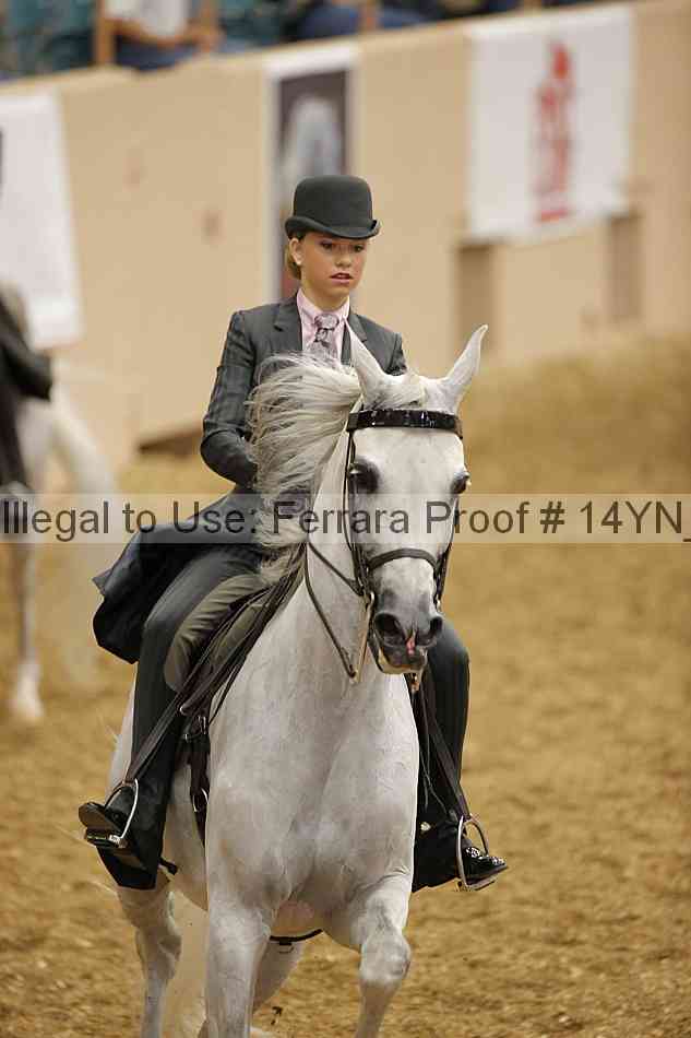 Proof Number 14yn_01241