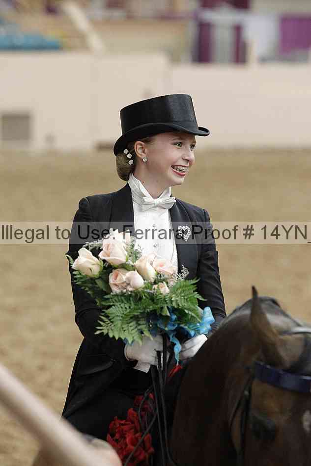 Proof Number 14yn_05807