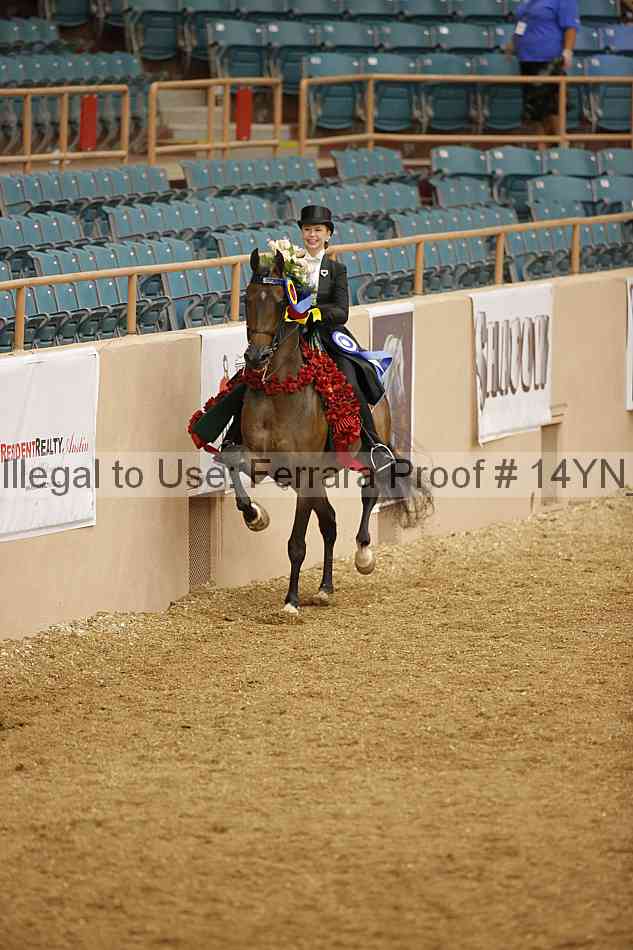 Proof Number 14yn_05891