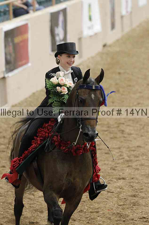 Proof Number 14yn_05896