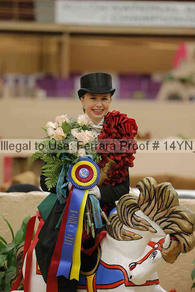 Proof Number 14yn_05948
