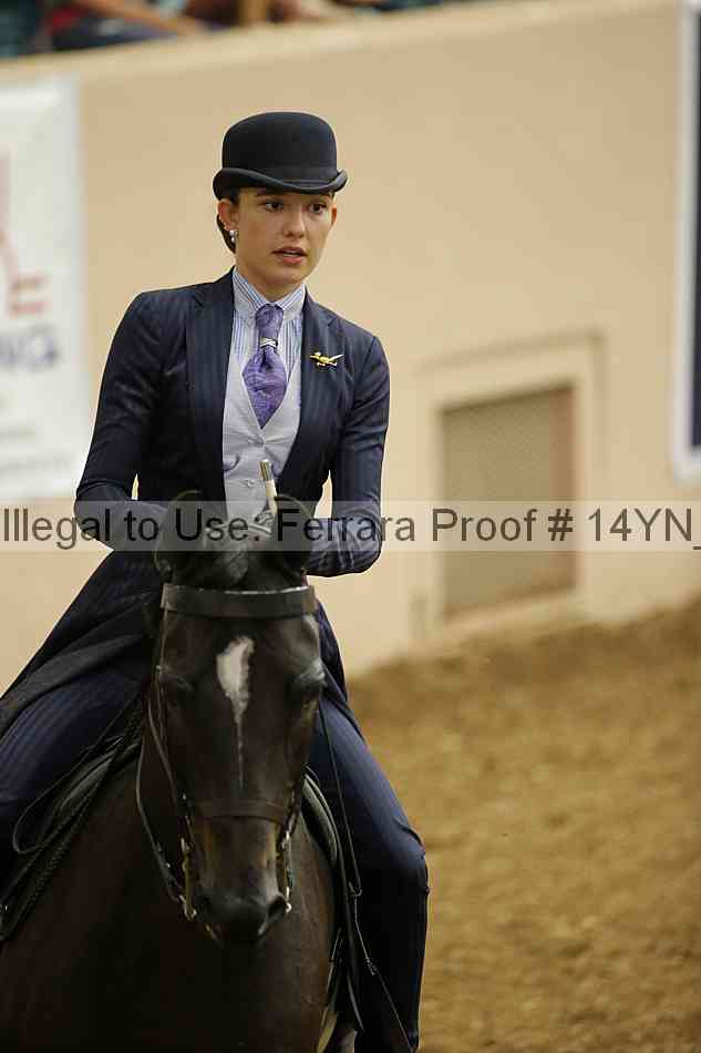 Proof Number 14yn_01033