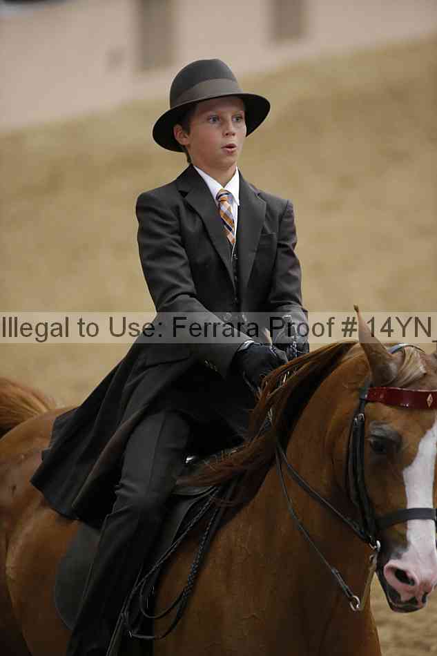 Proof Number 14yn_01036