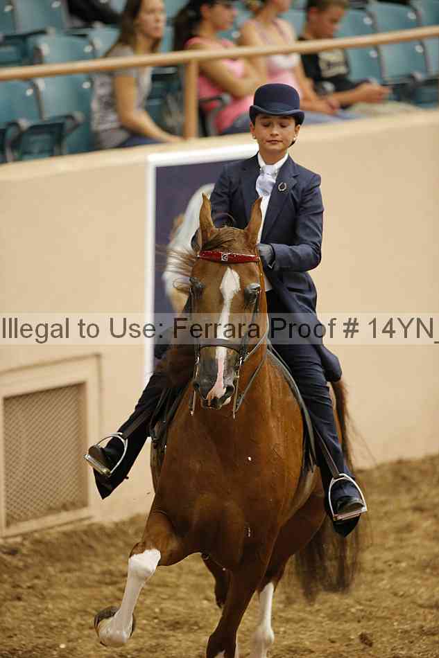 Proof Number 14yn_01091