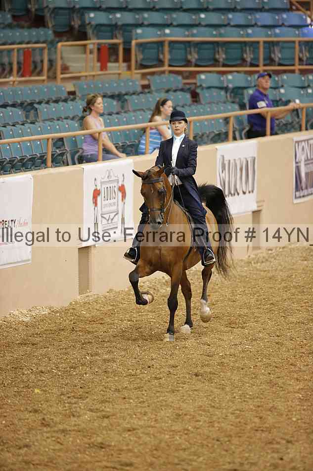Proof Number 14yn_01109