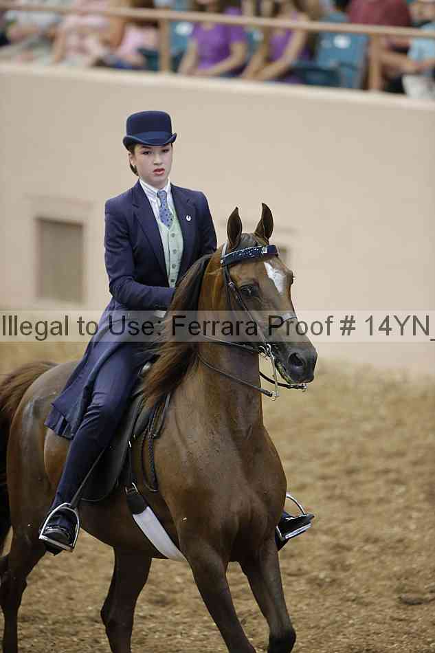 Proof Number 14yn_01114