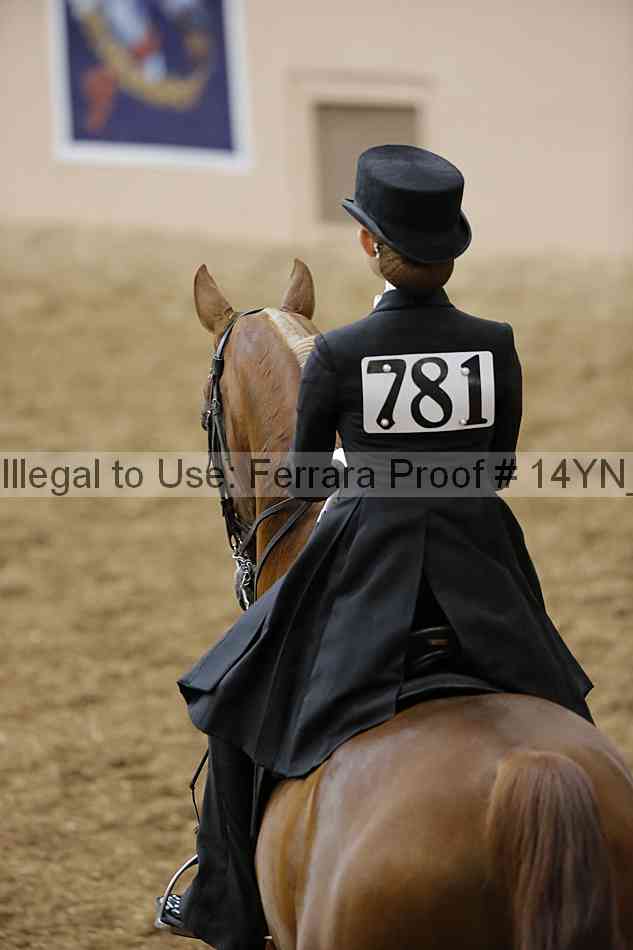 Proof Number 14yn_05128