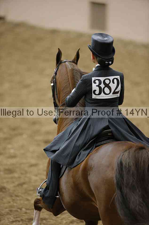 Proof Number 14yn_05156