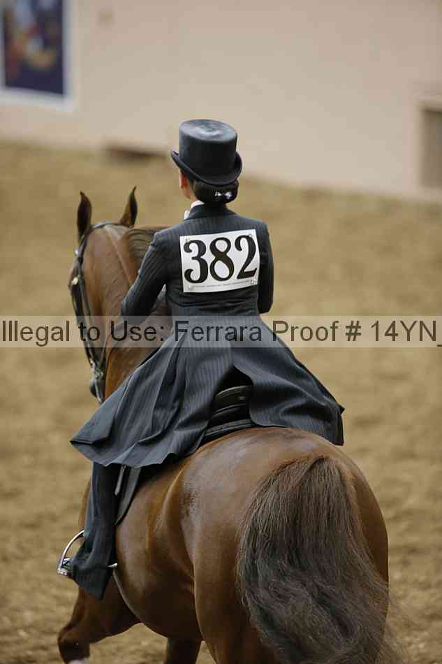 Proof Number 14yn_05157