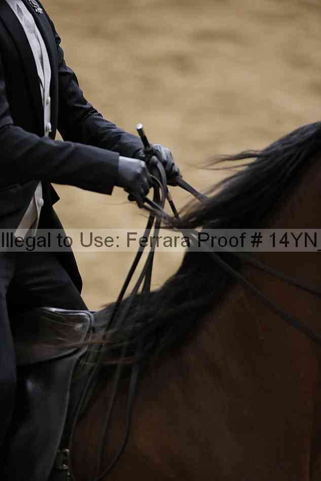 Proof Number 14yn_05163