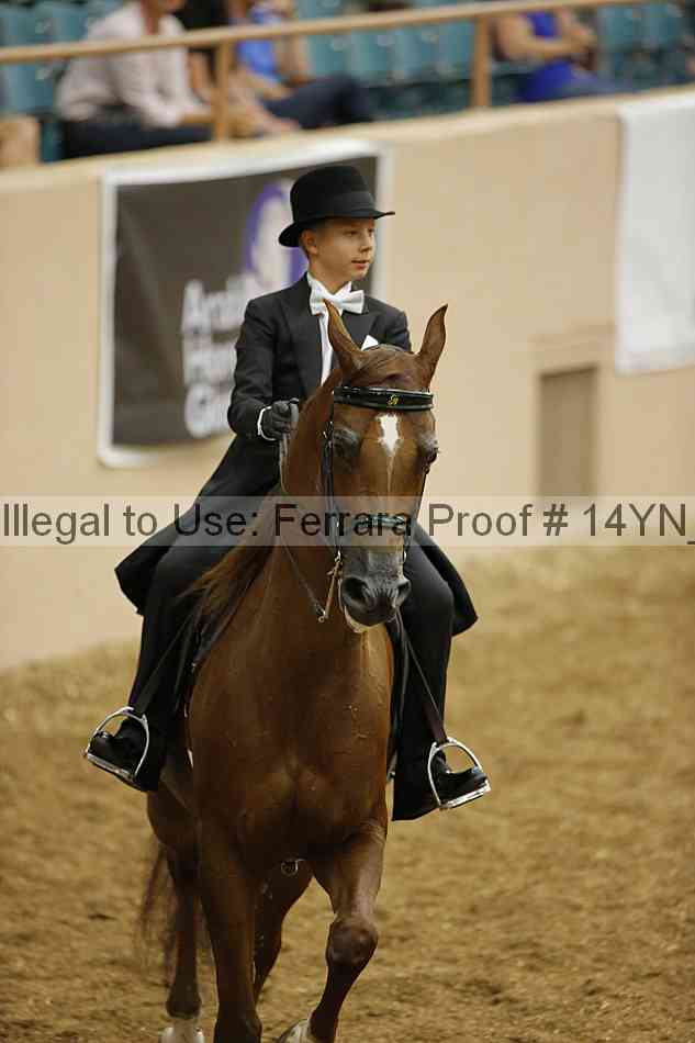 Proof Number 14yn_05167
