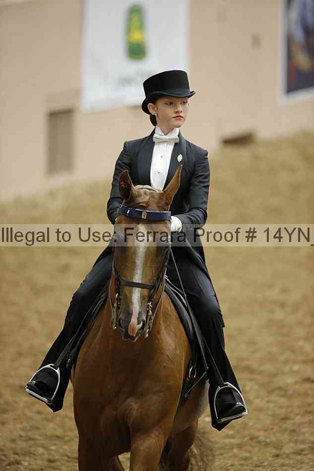 Proof Number 14yn_05195