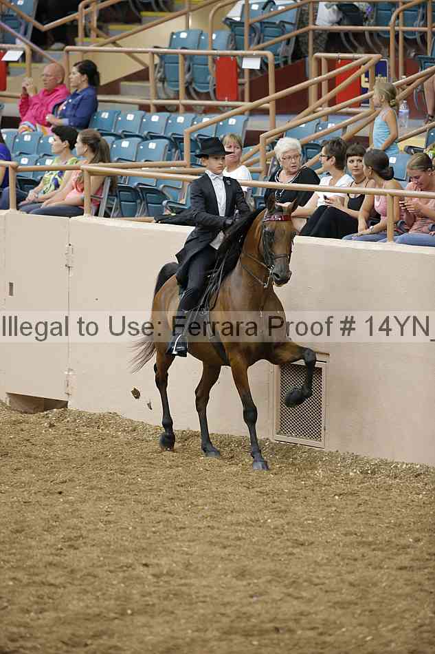 Proof Number 14yn_05201