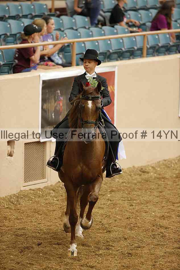 Proof Number 14yn_05320