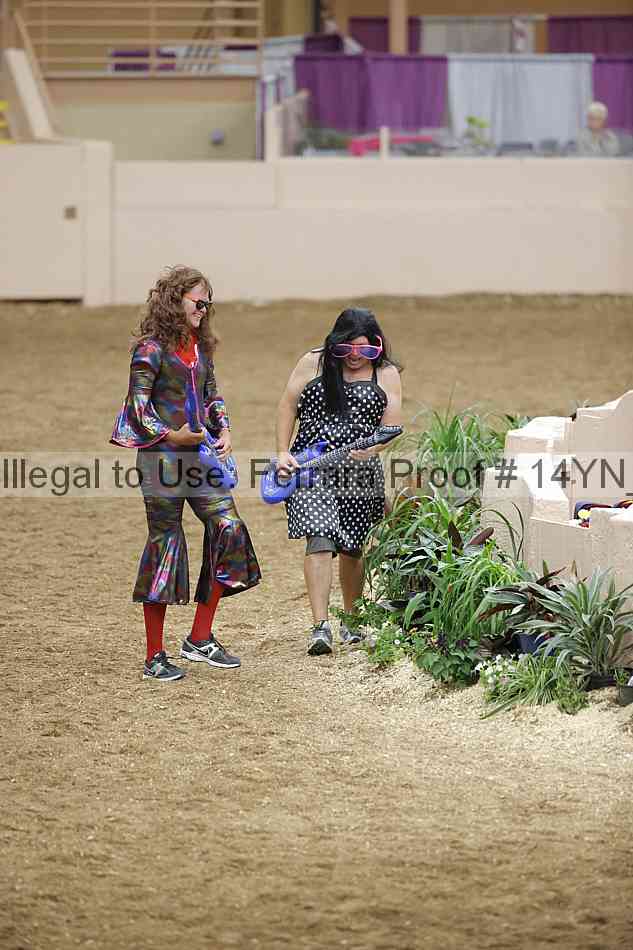 Proof Number 14yn_32253