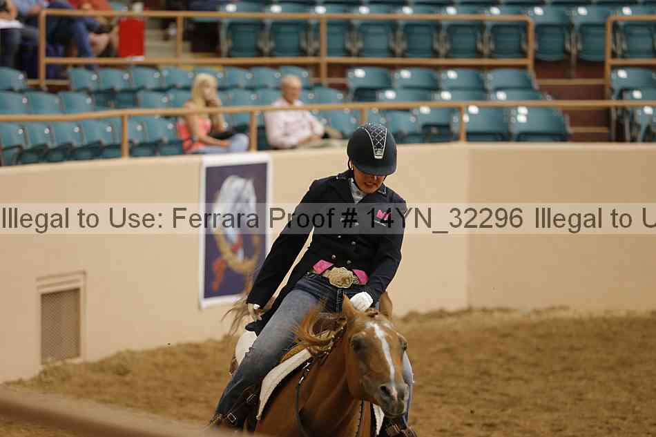 Proof Number 14yn_32296