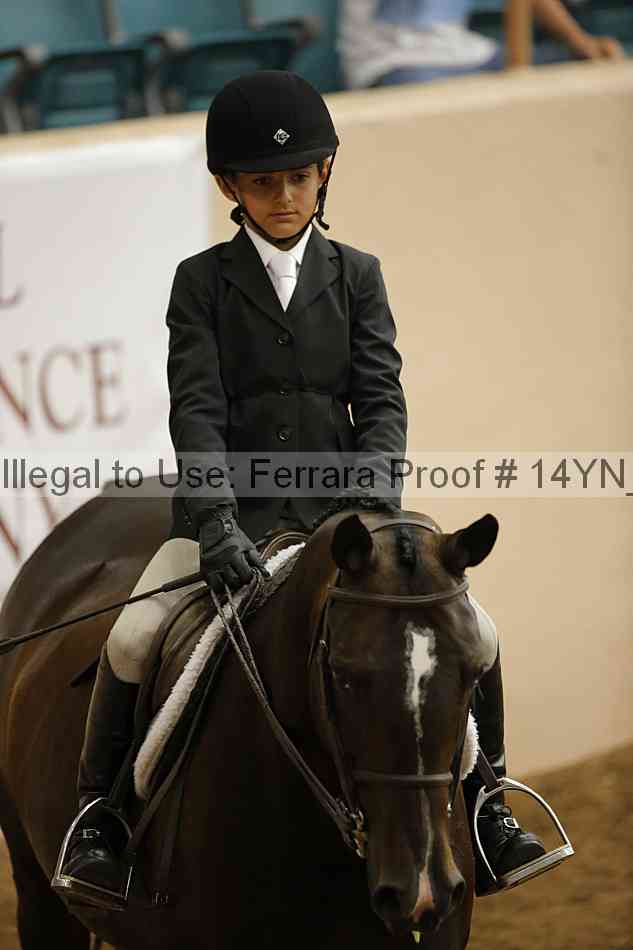 Proof Number 14yn_23801