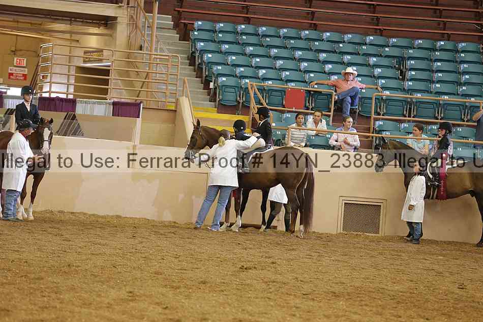 Proof Number 14yn_23883