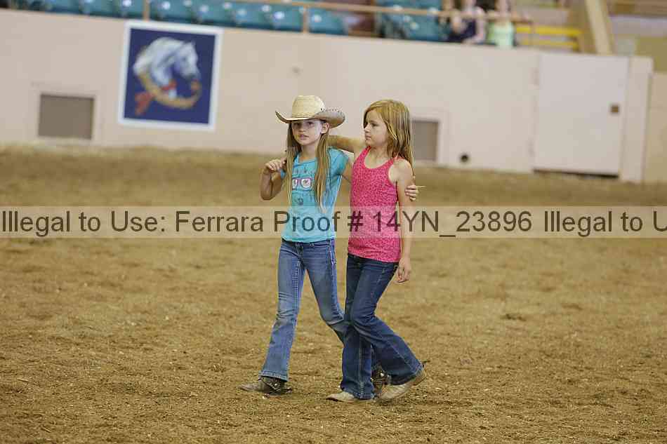 Proof Number 14yn_23896
