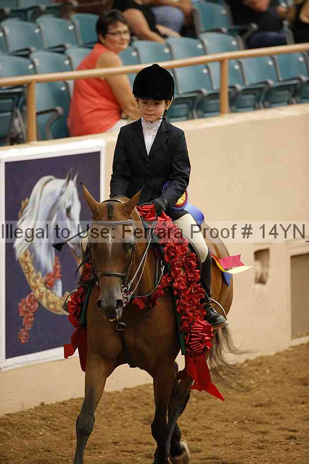 Proof Number 14yn_23944
