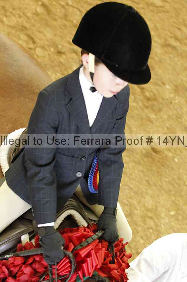 Proof Number 14yn_24006