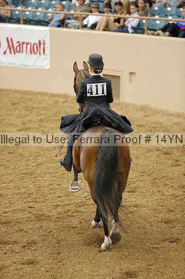Proof Number 14yn_06602