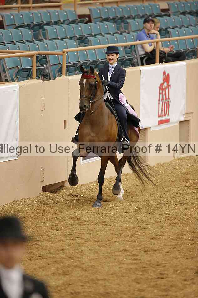 Proof Number 14yn_06658