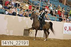 14yn_22191 thumbnail