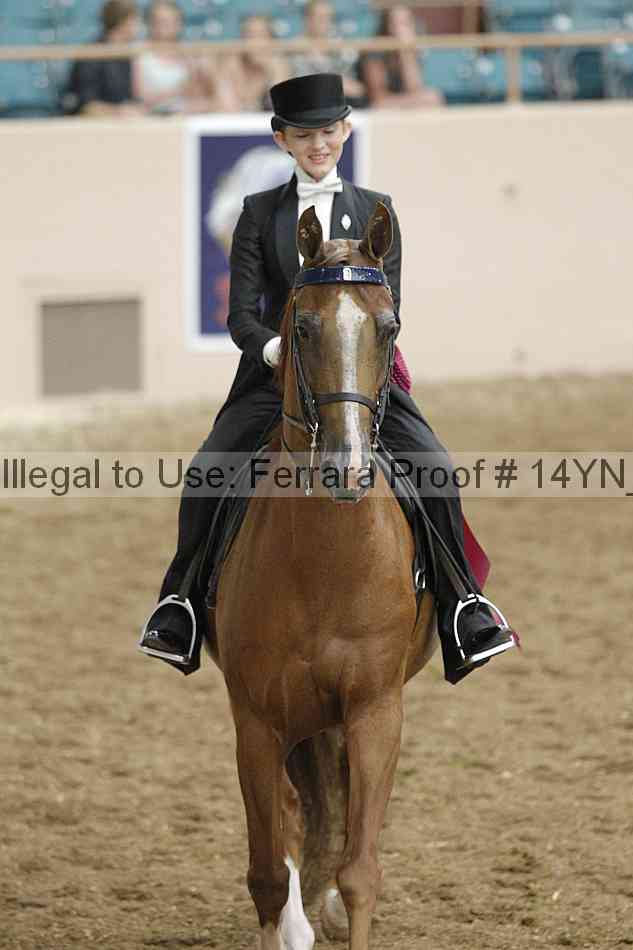Proof Number 14yn_22257