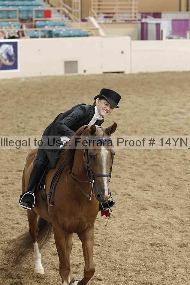 Proof Number 14yn_22261