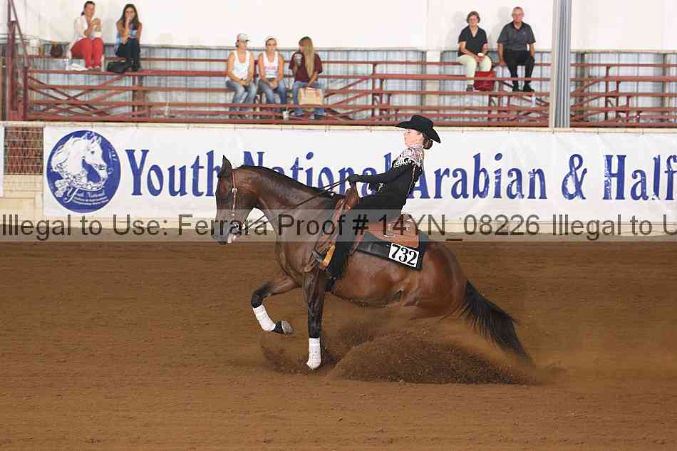 Proof Number 14yn_08226