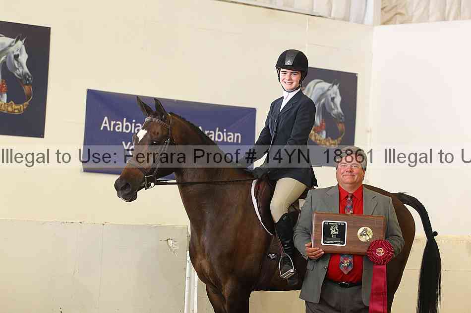 Proof Number 14yn_18861