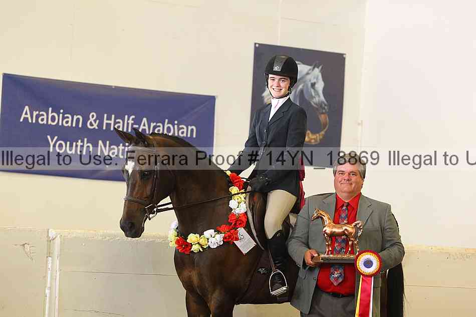 Proof Number 14yn_18869