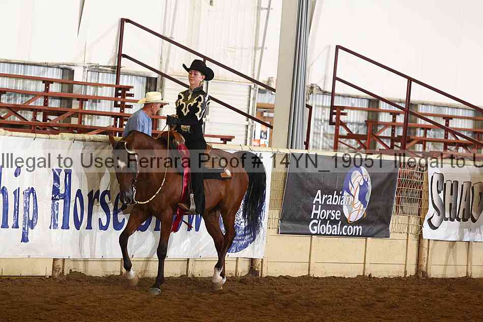 Proof Number 14yn_19051