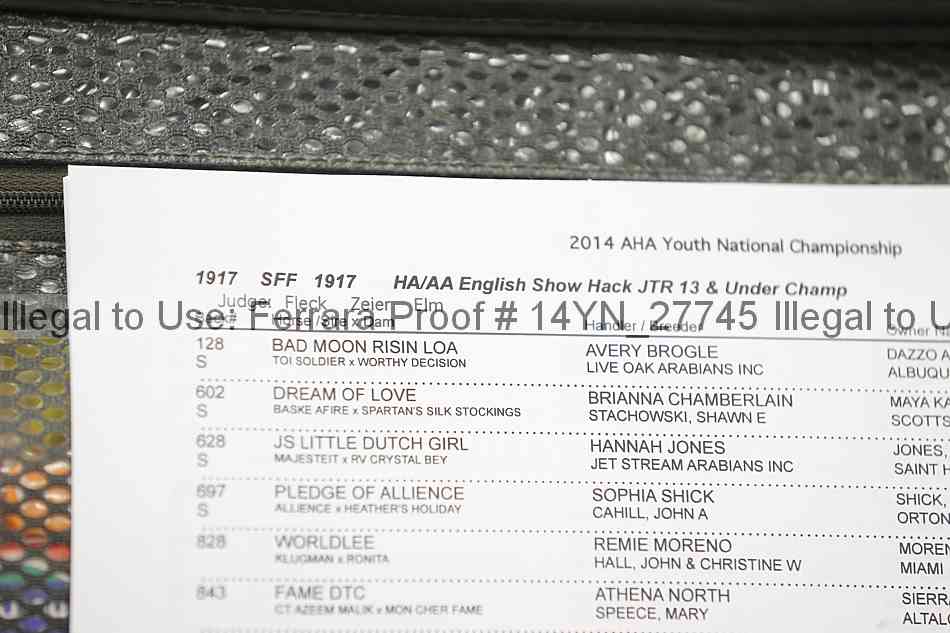 Proof Number 14yn_27745