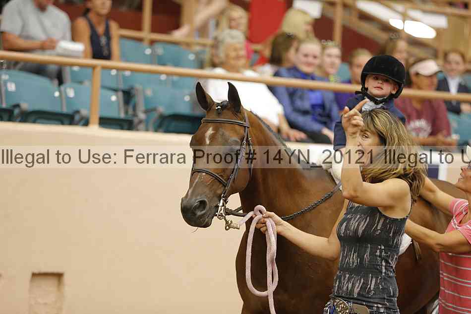 Proof Number 14yn_20121