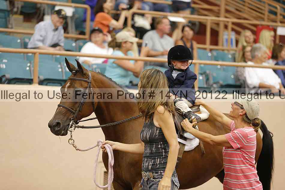 Proof Number 14yn_20122