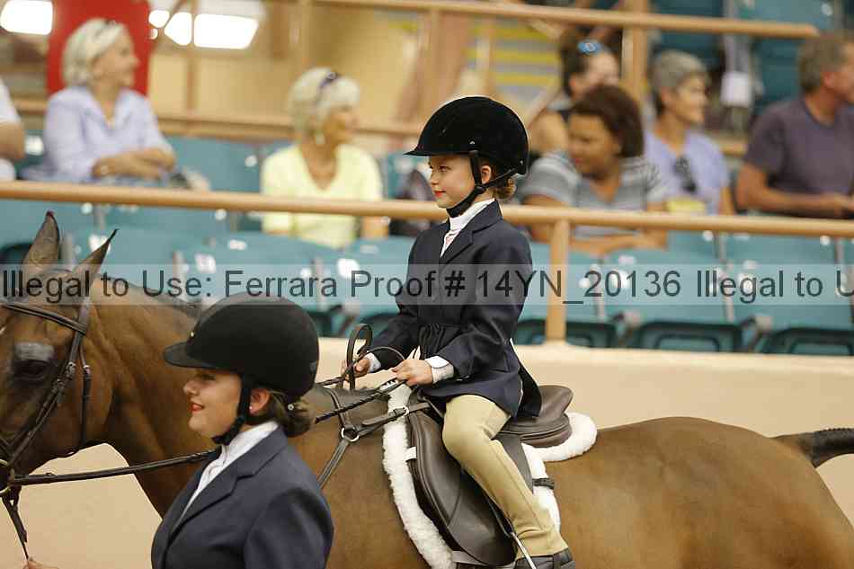 Proof Number 14yn_20136