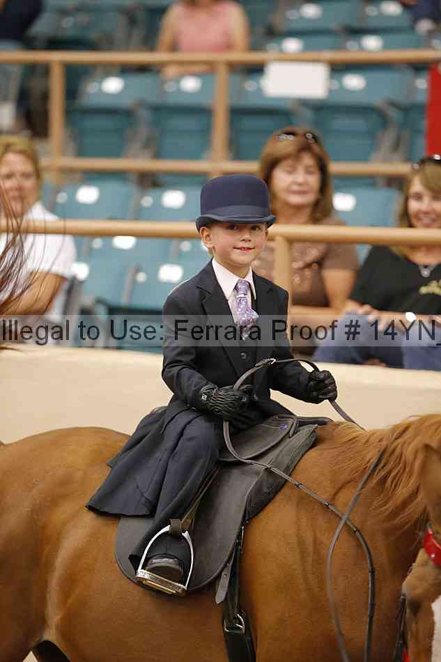 Proof Number 14yn_20239