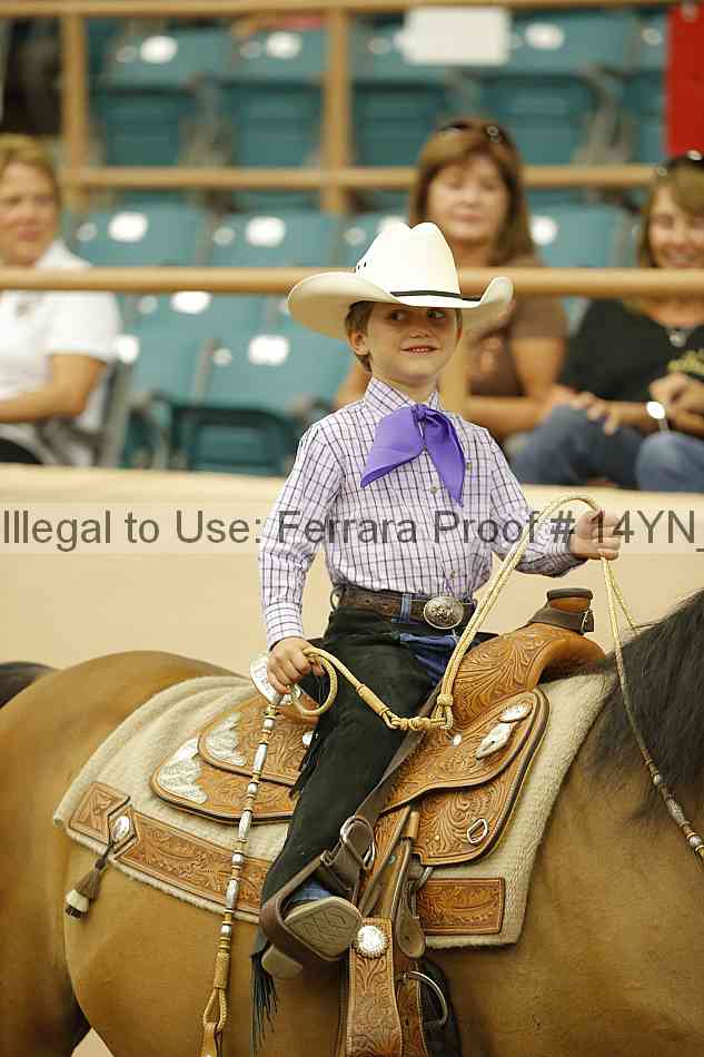 Proof Number 14yn_20244