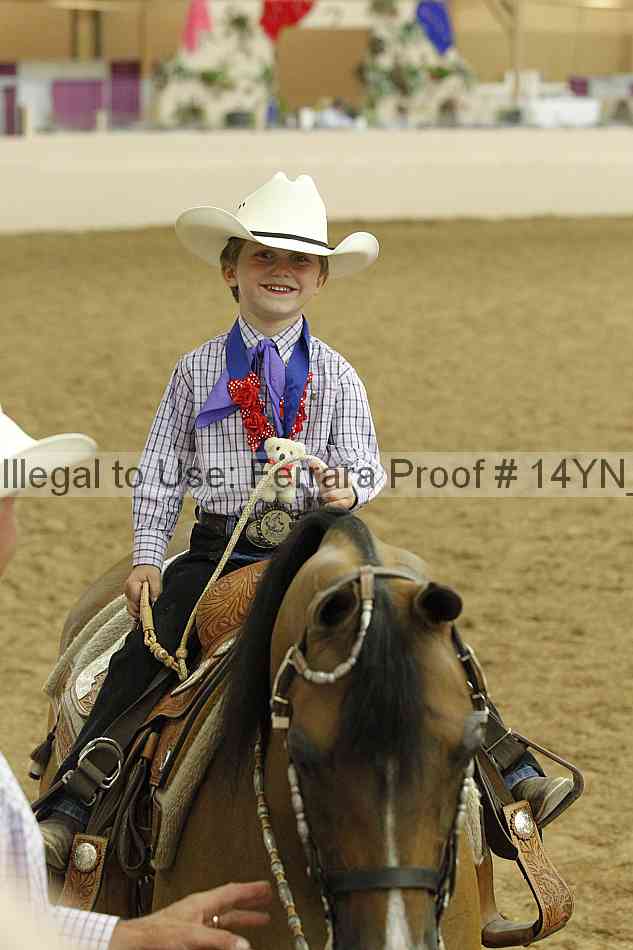 Proof Number 14yn_20248