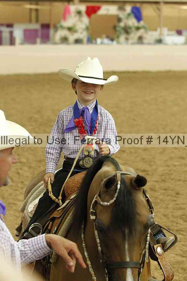 Proof Number 14yn_20249
