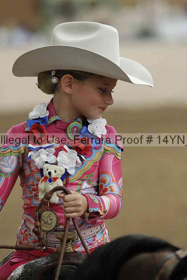 Proof Number 14yn_20258