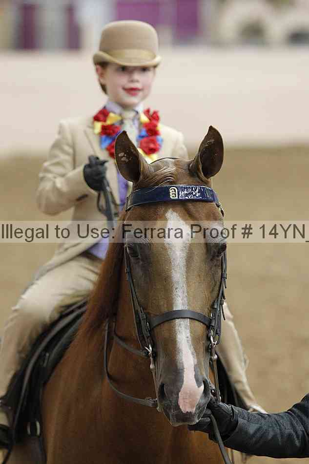 Proof Number 14yn_20298