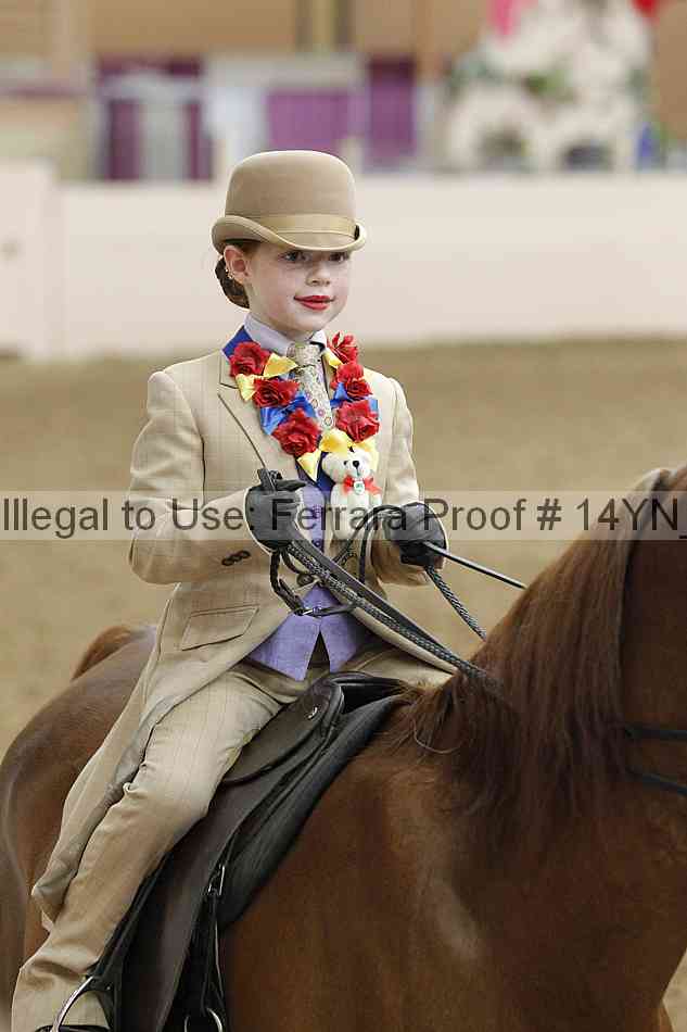 Proof Number 14yn_20299