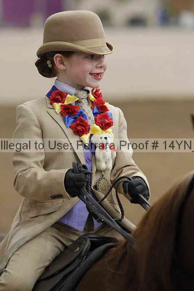 Proof Number 14yn_20305